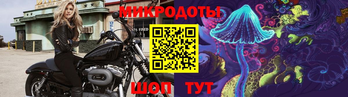 где купить наркоту  Псилоцибиновые грибы Psilocybine cubensis  Вход с VPN  Санкт-Петербург 
